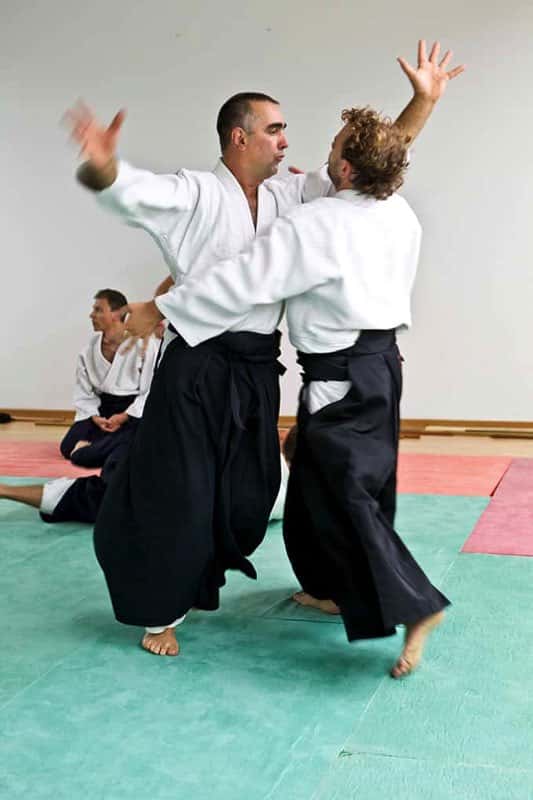 Stage-Aikido-Lyonnais-2008-10-Tous-niveaux-35