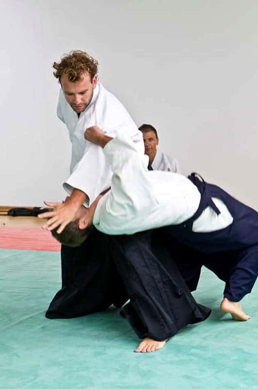 Stage-Aikido-Lyonnais-2008-10-Tous-niveaux-37