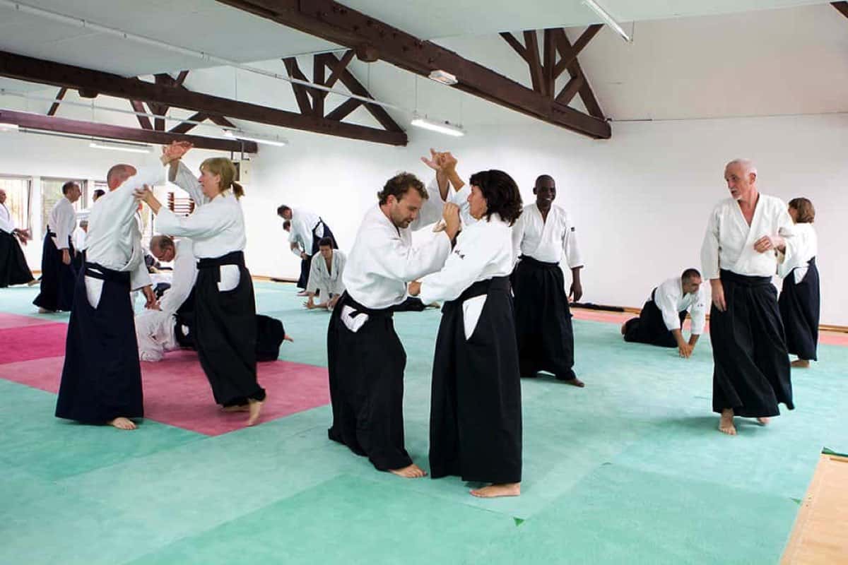 Stage-Aikido-Lyonnais-2008-10-Tous-niveaux-41