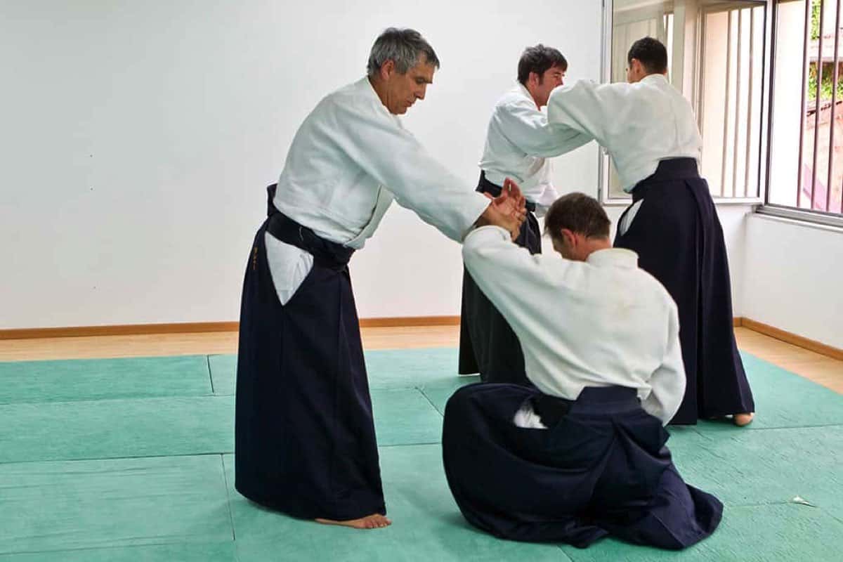 Stage-Aikido-Lyonnais-2008-10-Tous-niveaux-47
