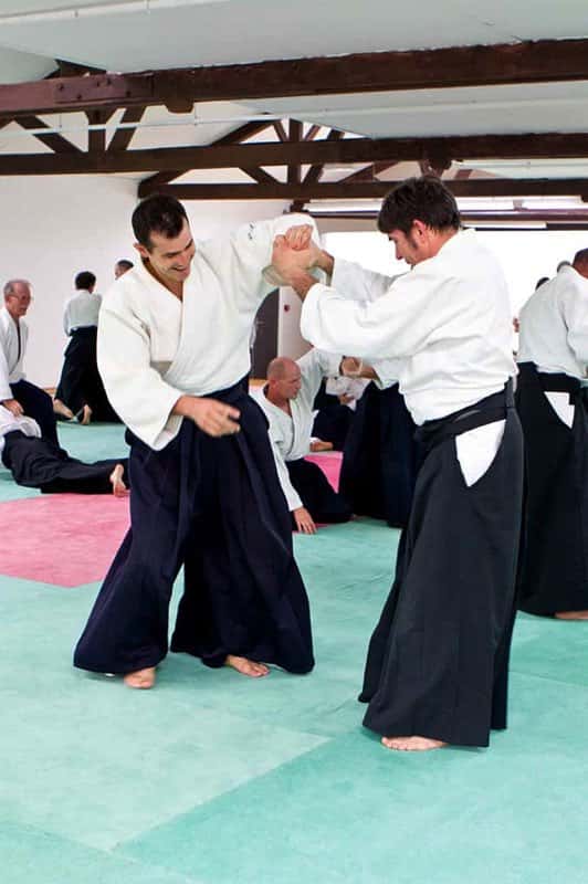 Stage-Aikido-Lyonnais-2008-10-Tous-niveaux-48