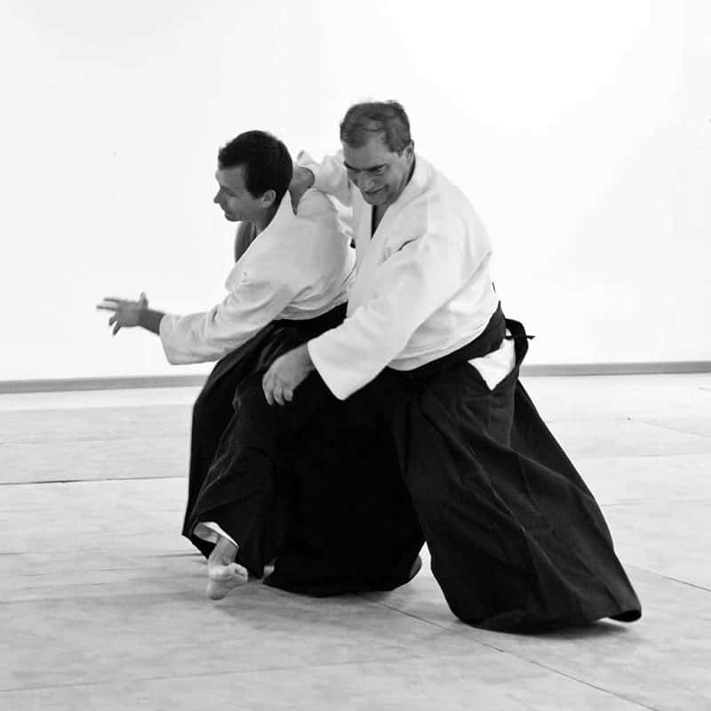 Stage-Aikido-Lyonnais-2008-10-Tous-niveaux-57