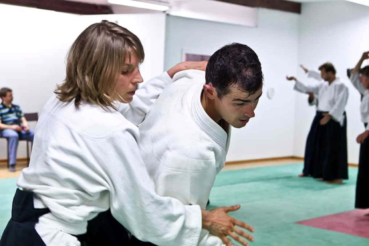 Stage-Aikido-Lyonnais-2008-10-Tous-niveaux-58