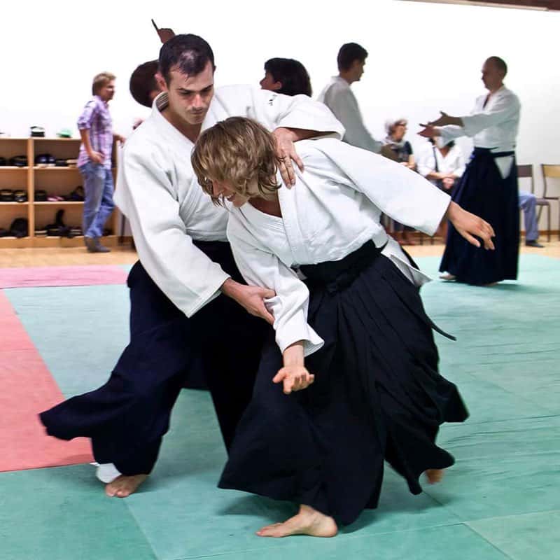 Stage-Aikido-Lyonnais-2008-10-Tous-niveaux-61