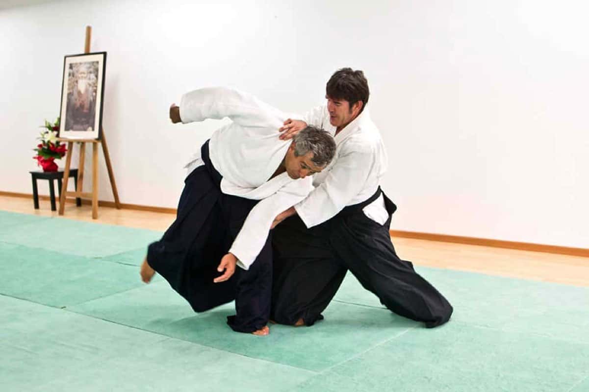 Stage-Aikido-Lyonnais-2008-10-Tous-niveaux-67