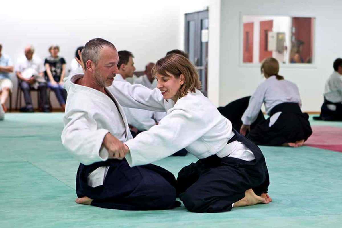 Stage-Aikido-Lyonnais-2008-10-Tous-niveaux-76