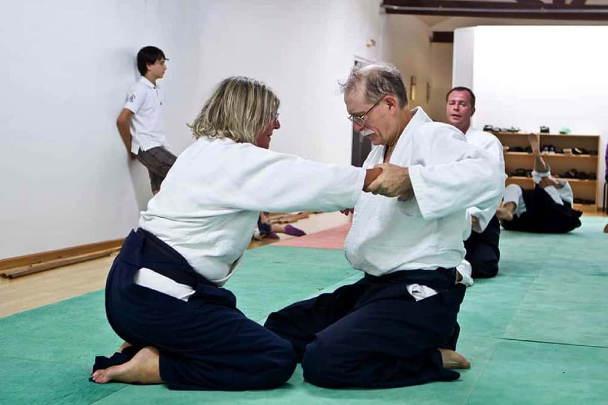 Stage-Aikido-Lyonnais-2008-10-Tous-niveaux-78