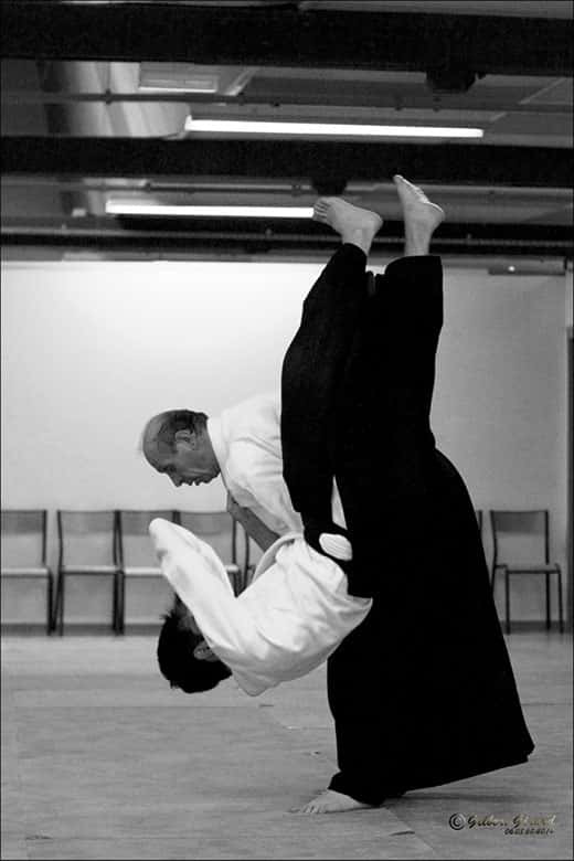 Stage-Aikido-Lyonnais-2009-01-Enseignants-01