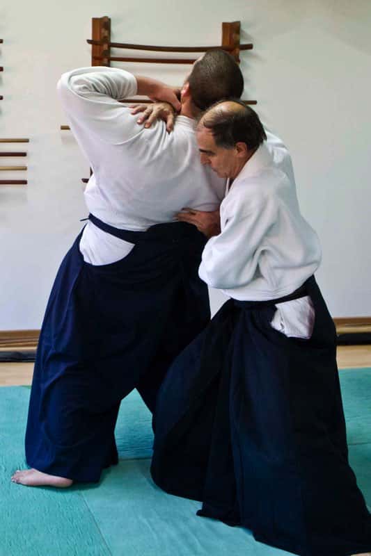Stage-Aikido-Lyonnais-2009-04-Tous-niveaux-10