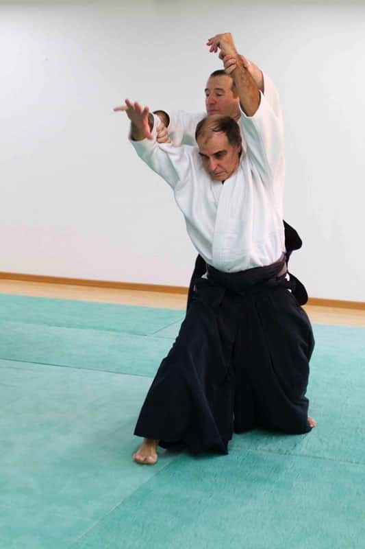 Stage-Aikido-Lyonnais-2009-04-Tous-niveaux-24
