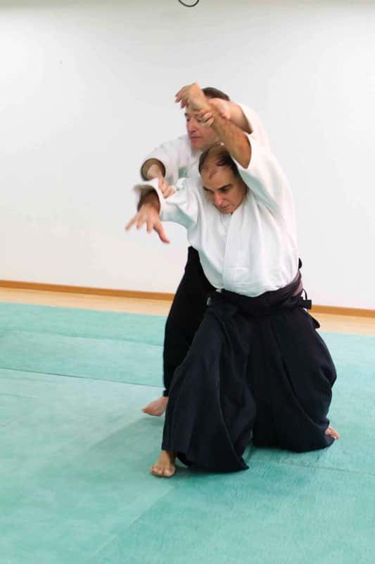 Stage-Aikido-Lyonnais-2009-04-Tous-niveaux-25