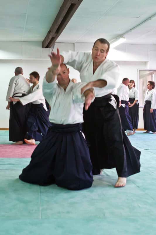 Stage-Aikido-Lyonnais-2009-04-Tous-niveaux-32