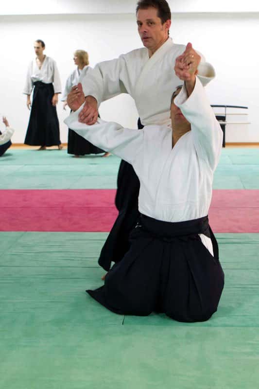 Stage-Aikido-Lyonnais-2009-04-Tous-niveaux-35