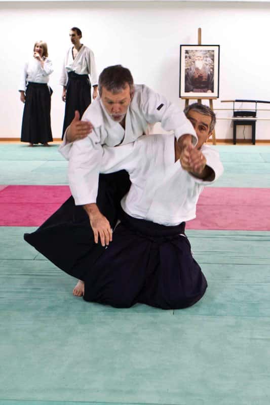 Stage-Aikido-Lyonnais-2009-04-Tous-niveaux-36
