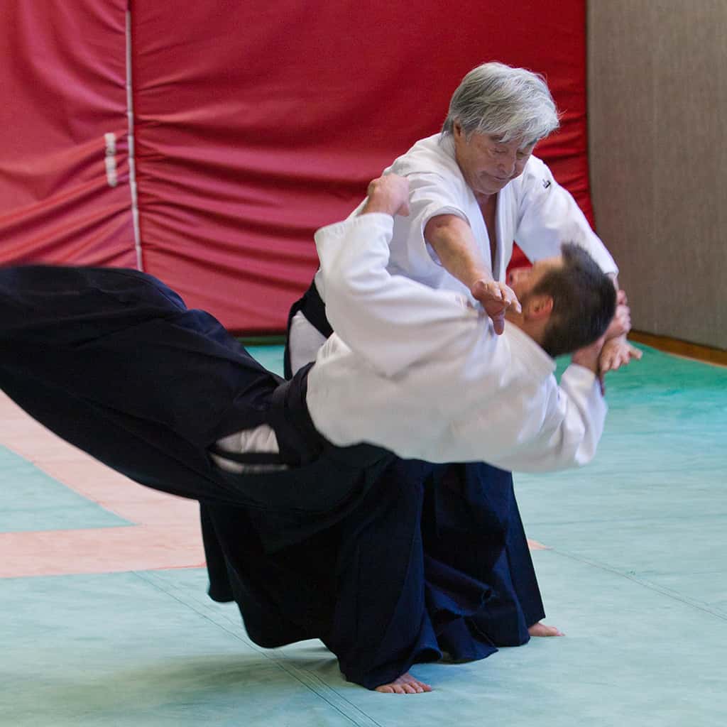 Stage-Aikido-Lyonnais-2011-01-Yamada-Sensei-108