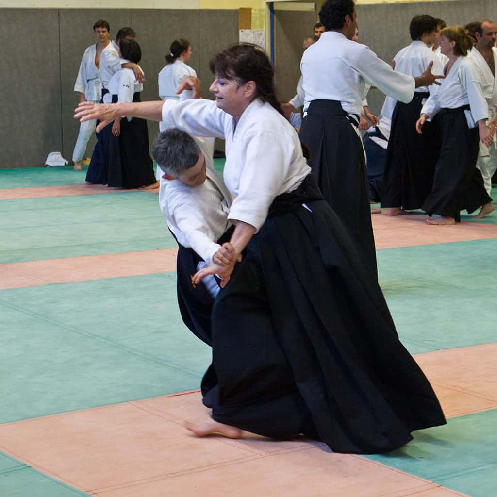 Stage-Aikido-Lyonnais-2011-01-Yamada-Sensei-113