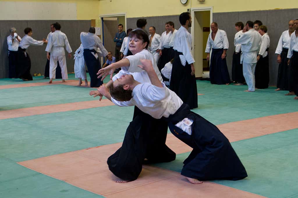 Stage-Aikido-Lyonnais-2011-01-Yamada-Sensei-115