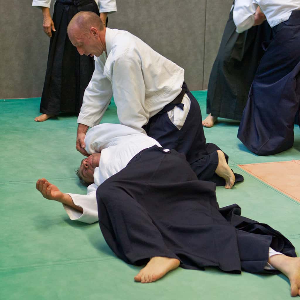 Stage-Aikido-Lyonnais-2011-01-Yamada-Sensei-32