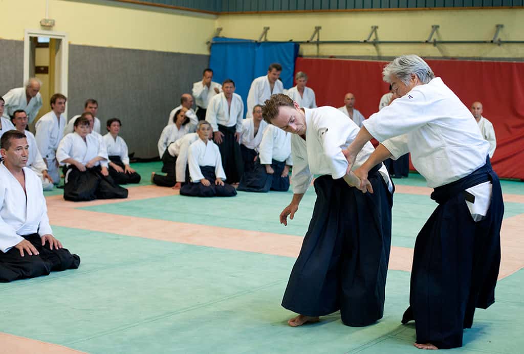 Stage-Aikido-Lyonnais-2011-01-Yamada-Sensei-72