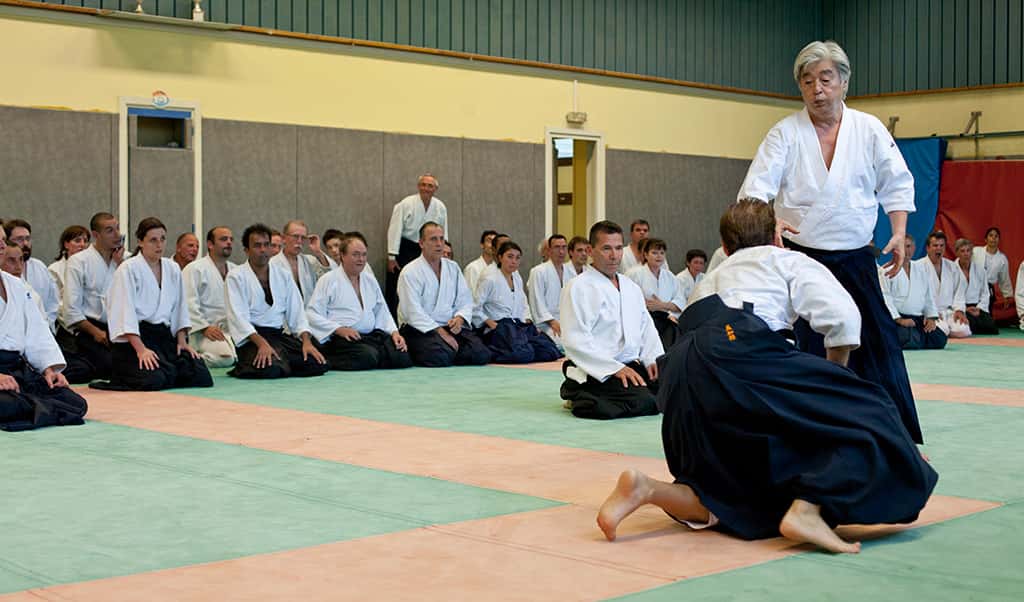 Stage-Aikido-Lyonnais-2011-01-Yamada-Sensei-74
