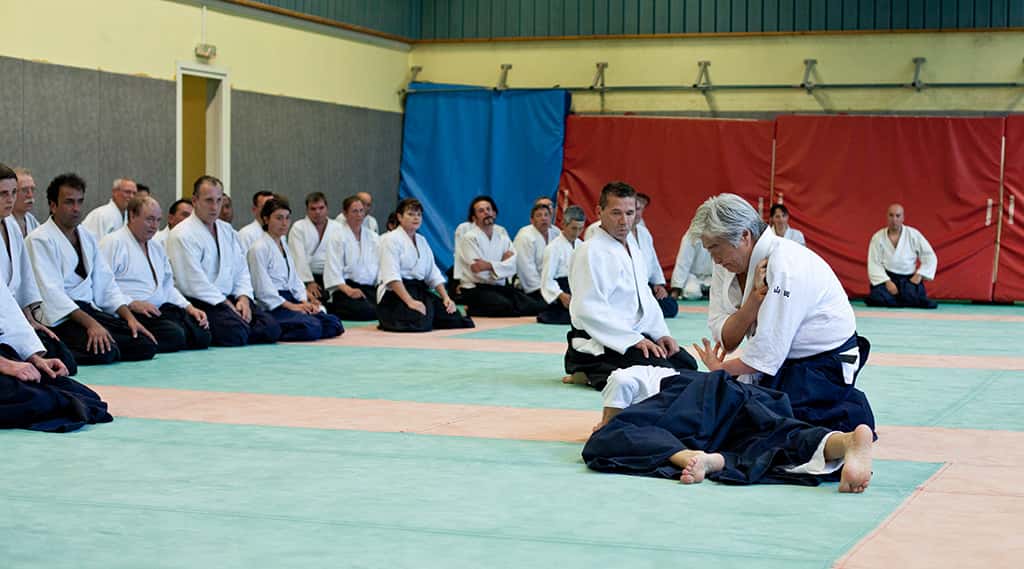 Stage-Aikido-Lyonnais-2011-01-Yamada-Sensei-76