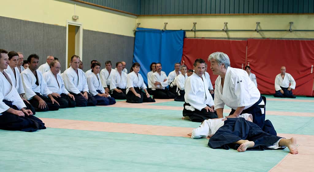 Stage-Aikido-Lyonnais-2011-01-Yamada-Sensei-77