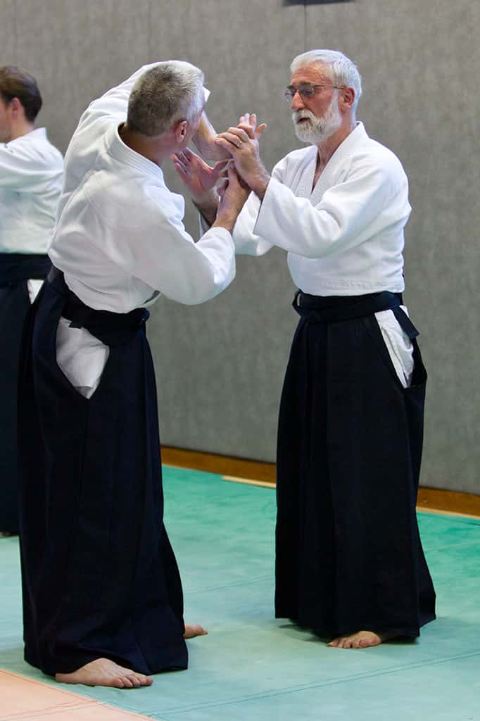 Stage-Aikido-Lyonnais-2011-01-Yamada-Sensei-79
