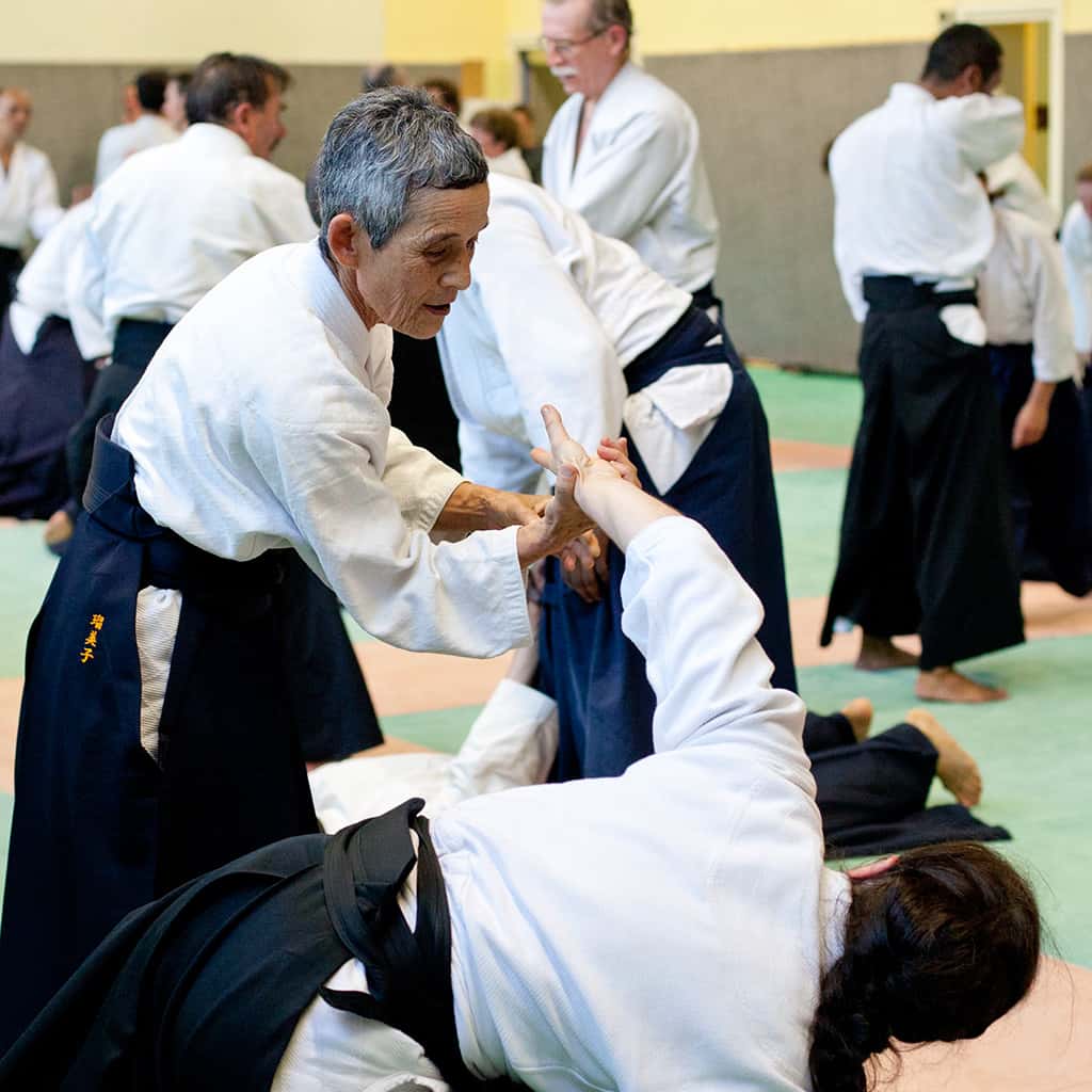 Stage-Aikido-Lyonnais-2011-01-Yamada-Sensei-81
