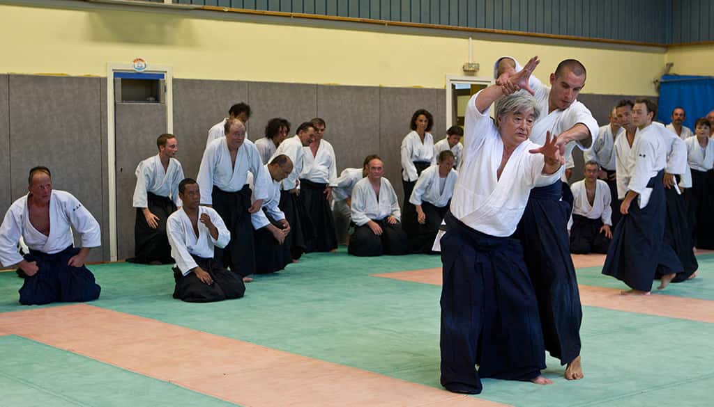 Stage-Aikido-Lyonnais-2011-01-Yamada-Sensei-83