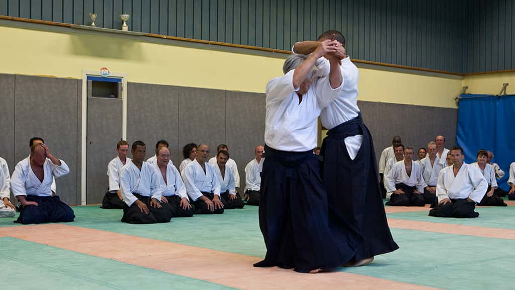 Stage-Aikido-Lyonnais-2011-01-Yamada-Sensei-84
