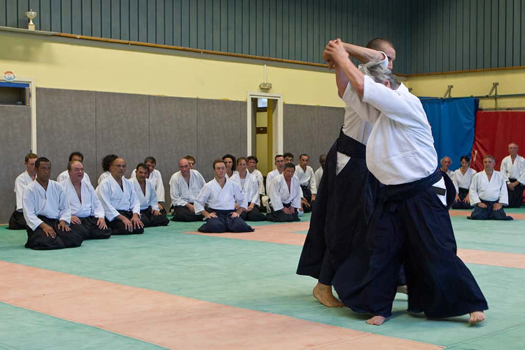 Stage-Aikido-Lyonnais-2011-01-Yamada-Sensei-88