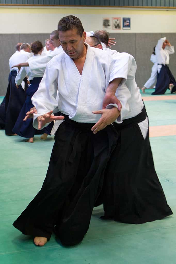 Stage-Aikido-Lyonnais-2011-01-Yamada-Sensei-98