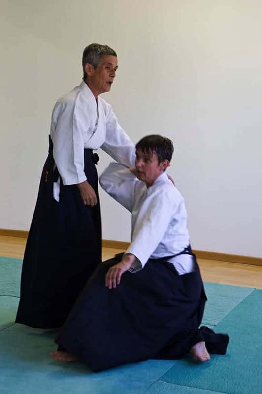 Stage-Aikido-Lyonnais-2011-06-1-Yamada-Sensei-08
