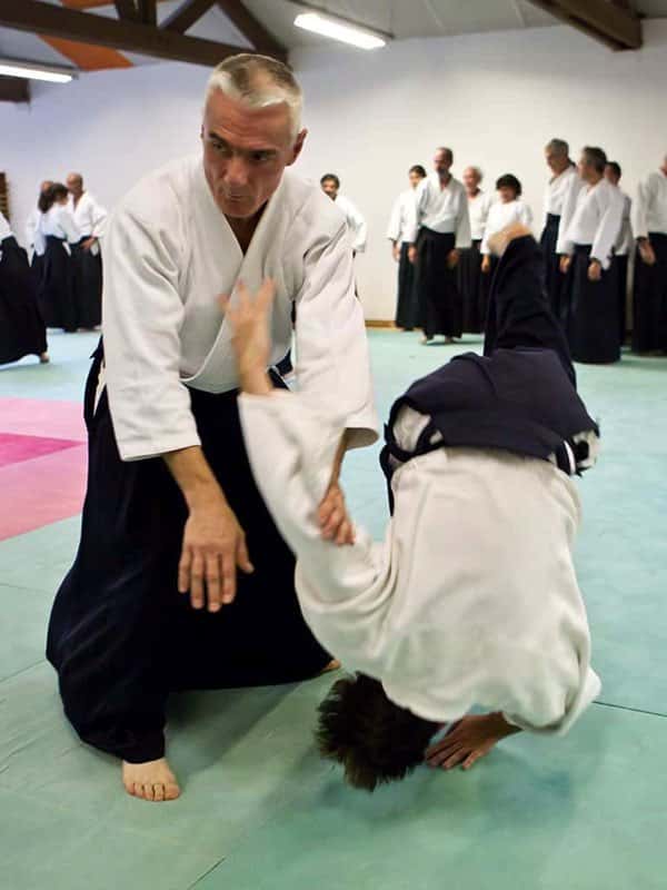 Stage-Aikido-Lyonnais-2011-06-1-Yamada-Sensei-101