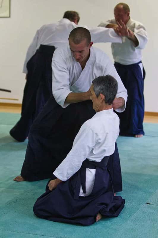 Stage-Aikido-Lyonnais-2011-06-1-Yamada-Sensei-108