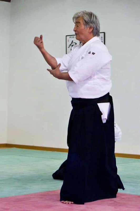 Stage-Aikido-Lyonnais-2011-06-1-Yamada-Sensei-11