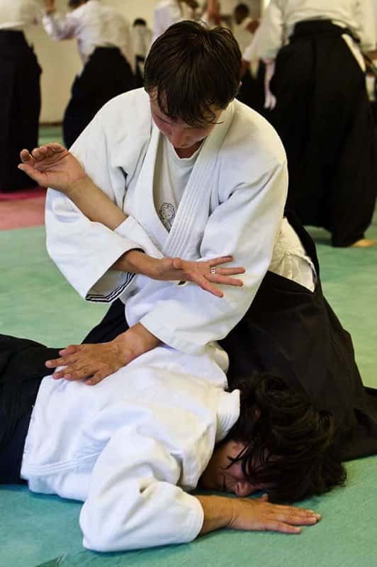 Stage-Aikido-Lyonnais-2011-06-1-Yamada-Sensei-120
