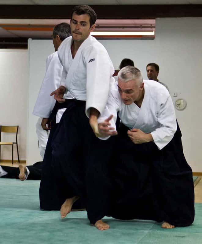 Stage-Aikido-Lyonnais-2011-06-1-Yamada-Sensei-129