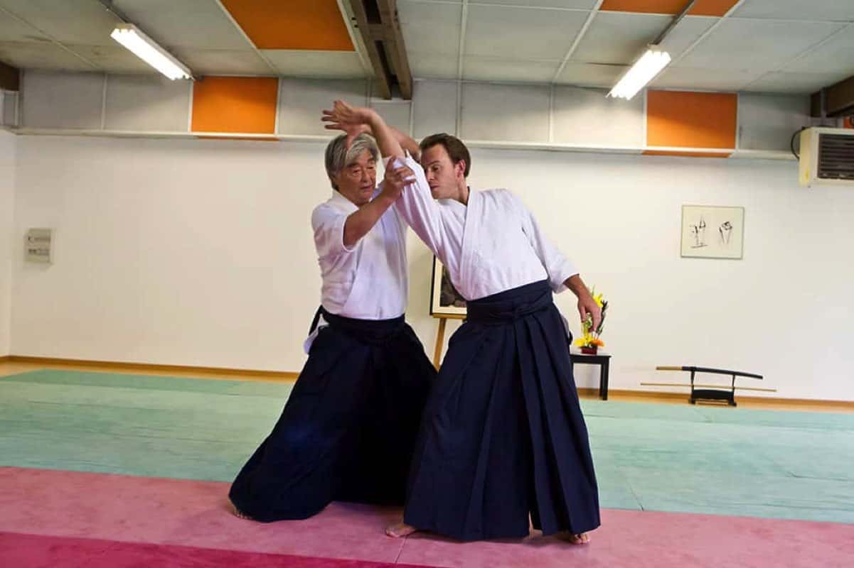 Stage-Aikido-Lyonnais-2011-06-1-Yamada-Sensei-21