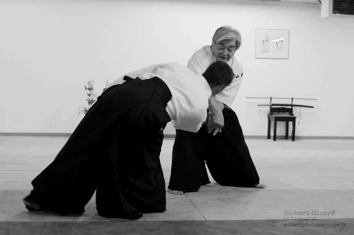 Stage-Aikido-Lyonnais-2011-06-1-Yamada-Sensei-27
