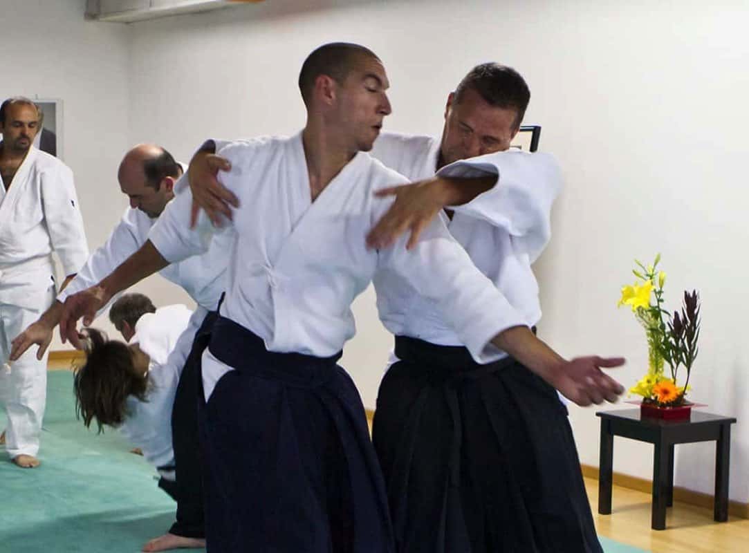 Stage-Aikido-Lyonnais-2011-06-1-Yamada-Sensei-32