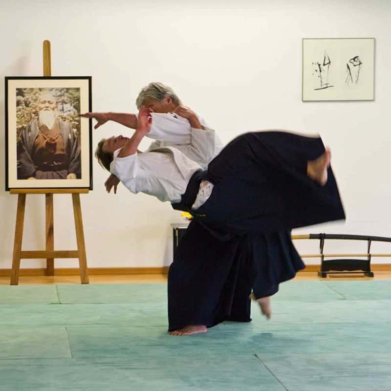 Stage-Aikido-Lyonnais-2011-06-1-Yamada-Sensei-45