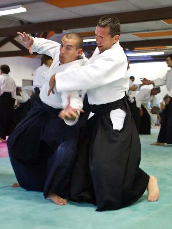 Stage-Aikido-Lyonnais-2011-06-1-Yamada-Sensei-47