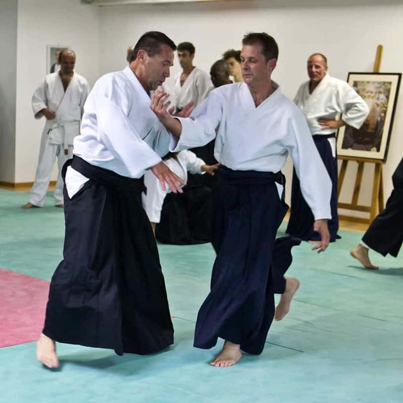Stage-Aikido-Lyonnais-2011-06-1-Yamada-Sensei-78