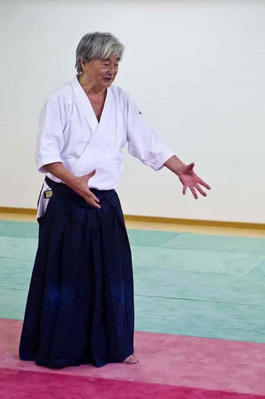 Stage-Aikido-Lyonnais-2011-06-1-Yamada-Sensei-83