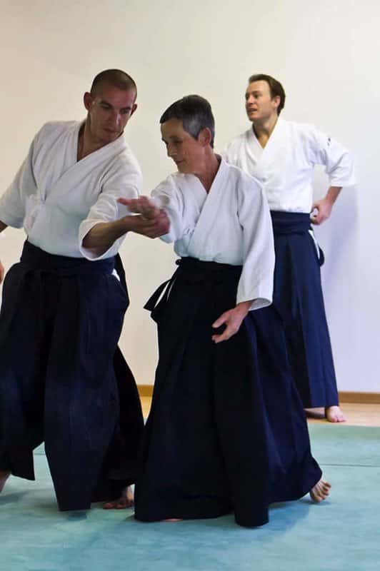 Stage-Aikido-Lyonnais-2011-06-1-Yamada-Sensei-90