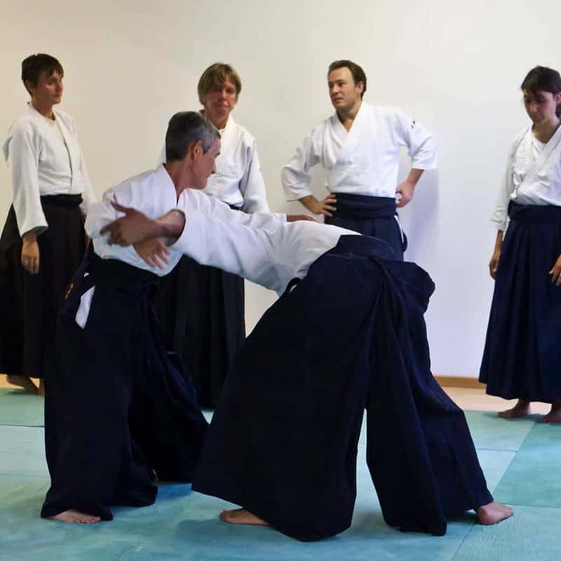 Stage-Aikido-Lyonnais-2011-06-1-Yamada-Sensei-91