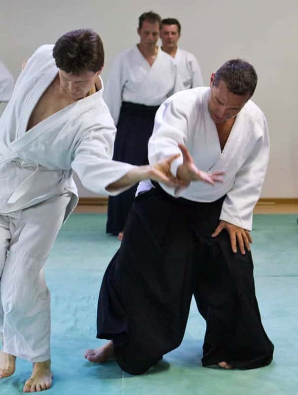 Stage-Aikido-Lyonnais-2011-06-1-Yamada-Sensei-99