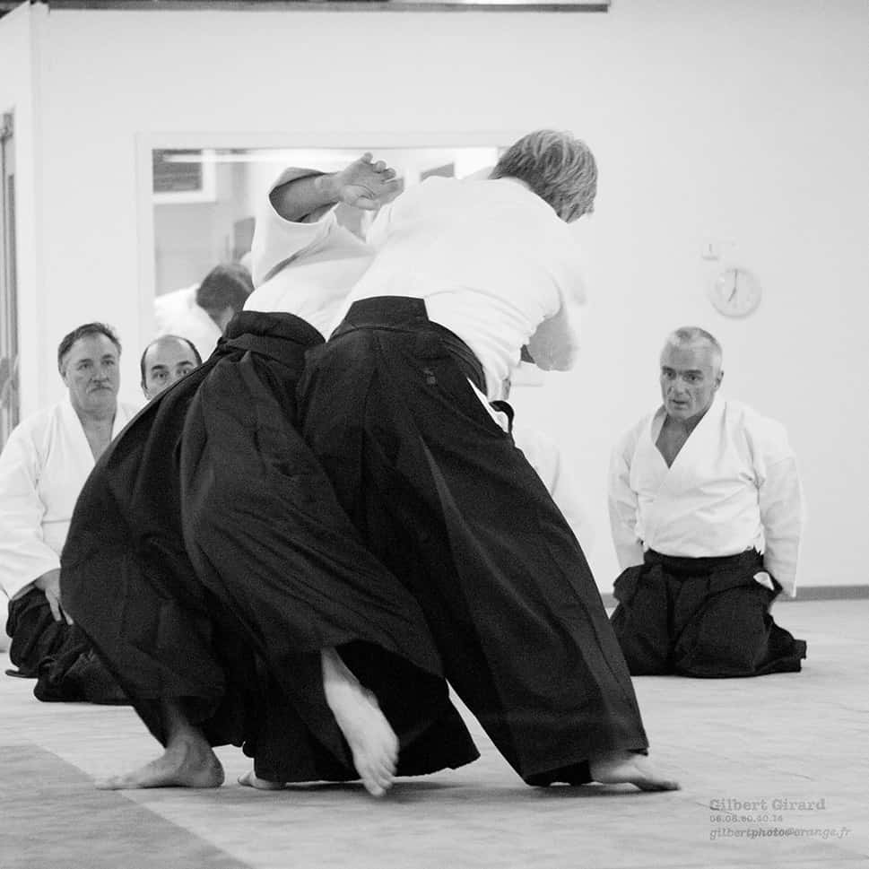 Stage-Aikido-Lyonnais-2011-06-2-Yamada-Sensei-07