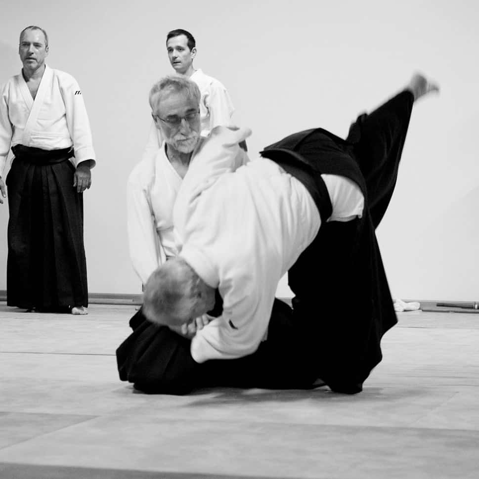 Stage-Aikido-Lyonnais-2011-06-2-Yamada-Sensei-105